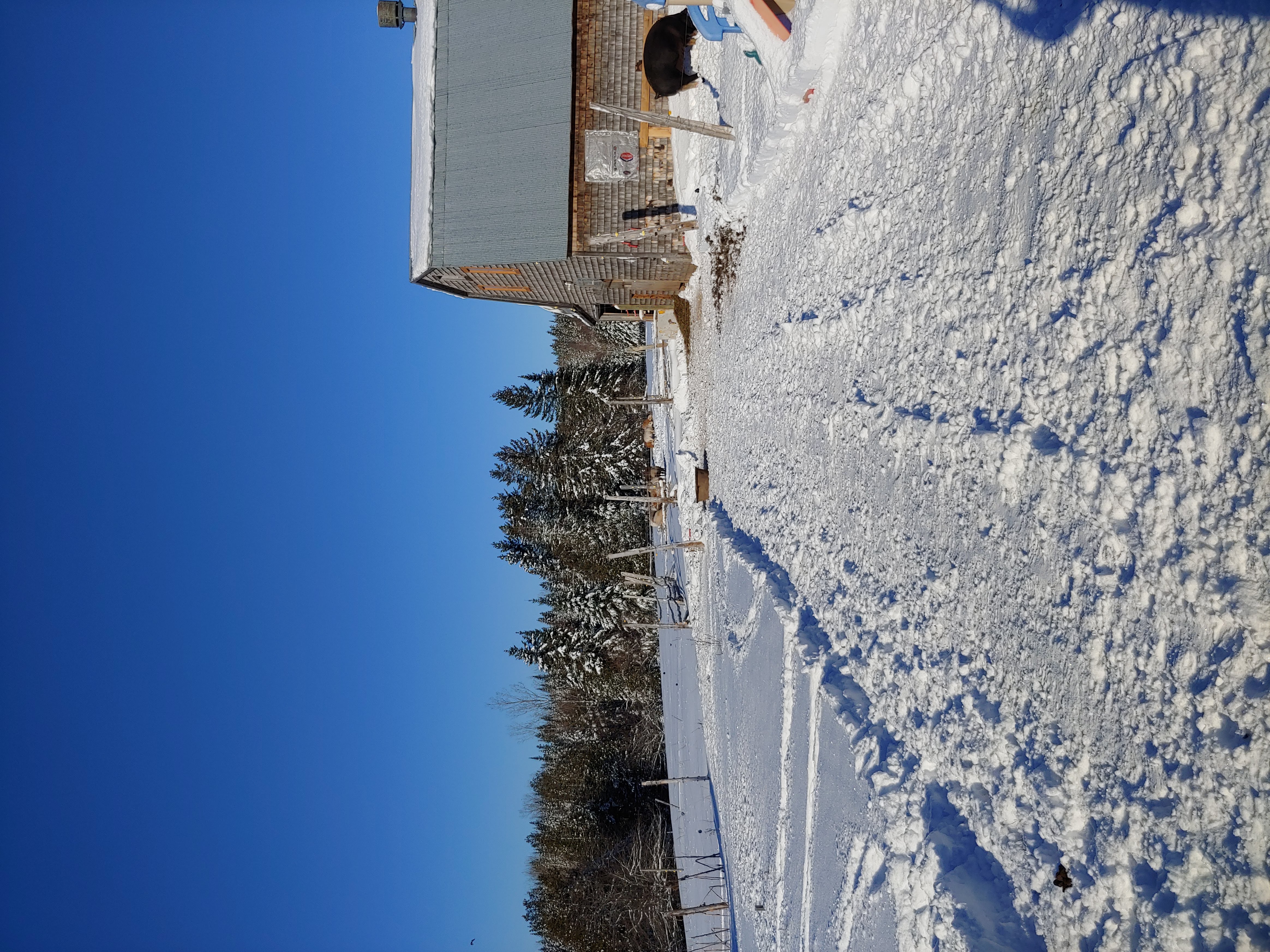20181118_092720.jpg