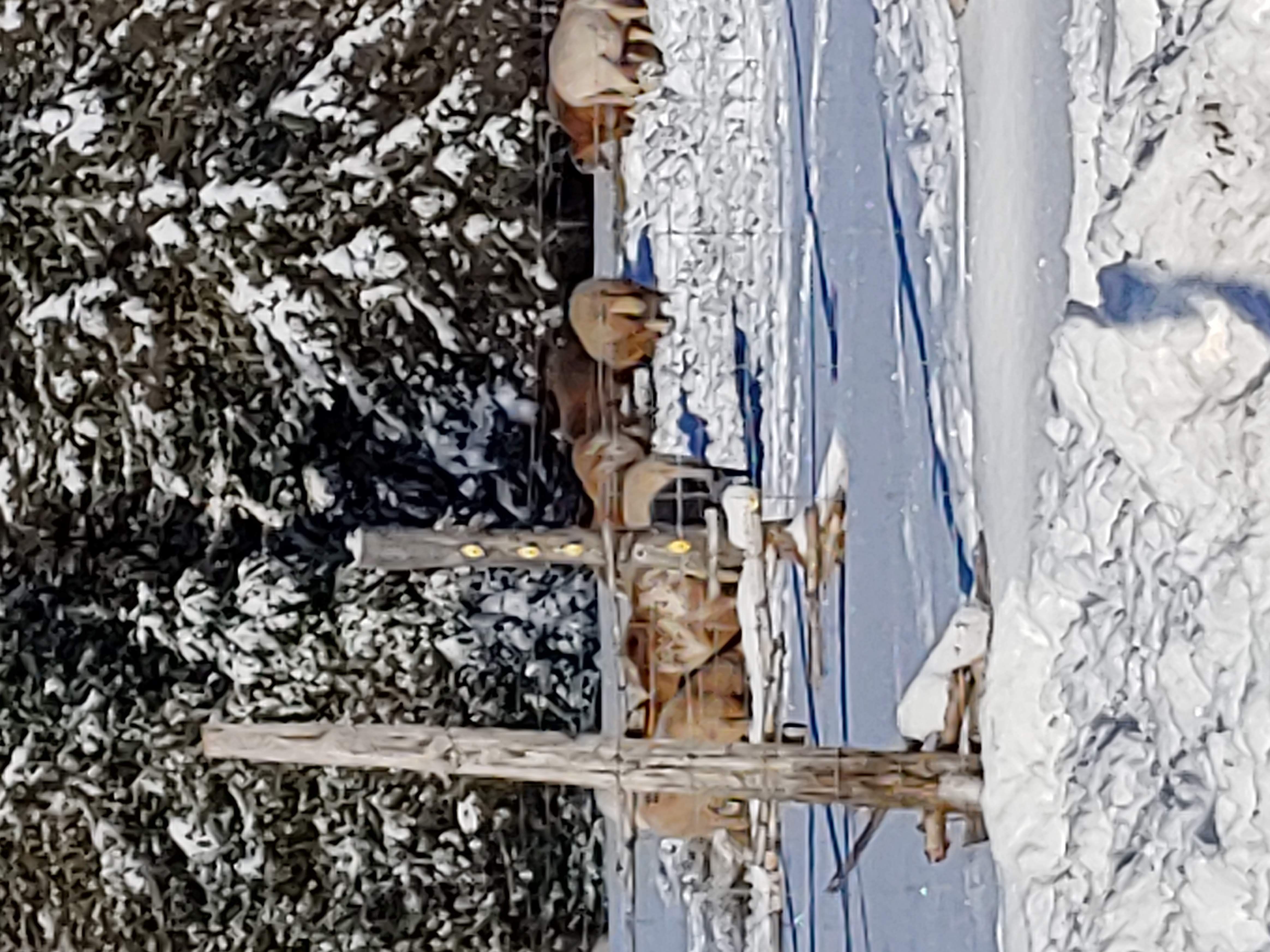 20181118_092743_HDR.jpg