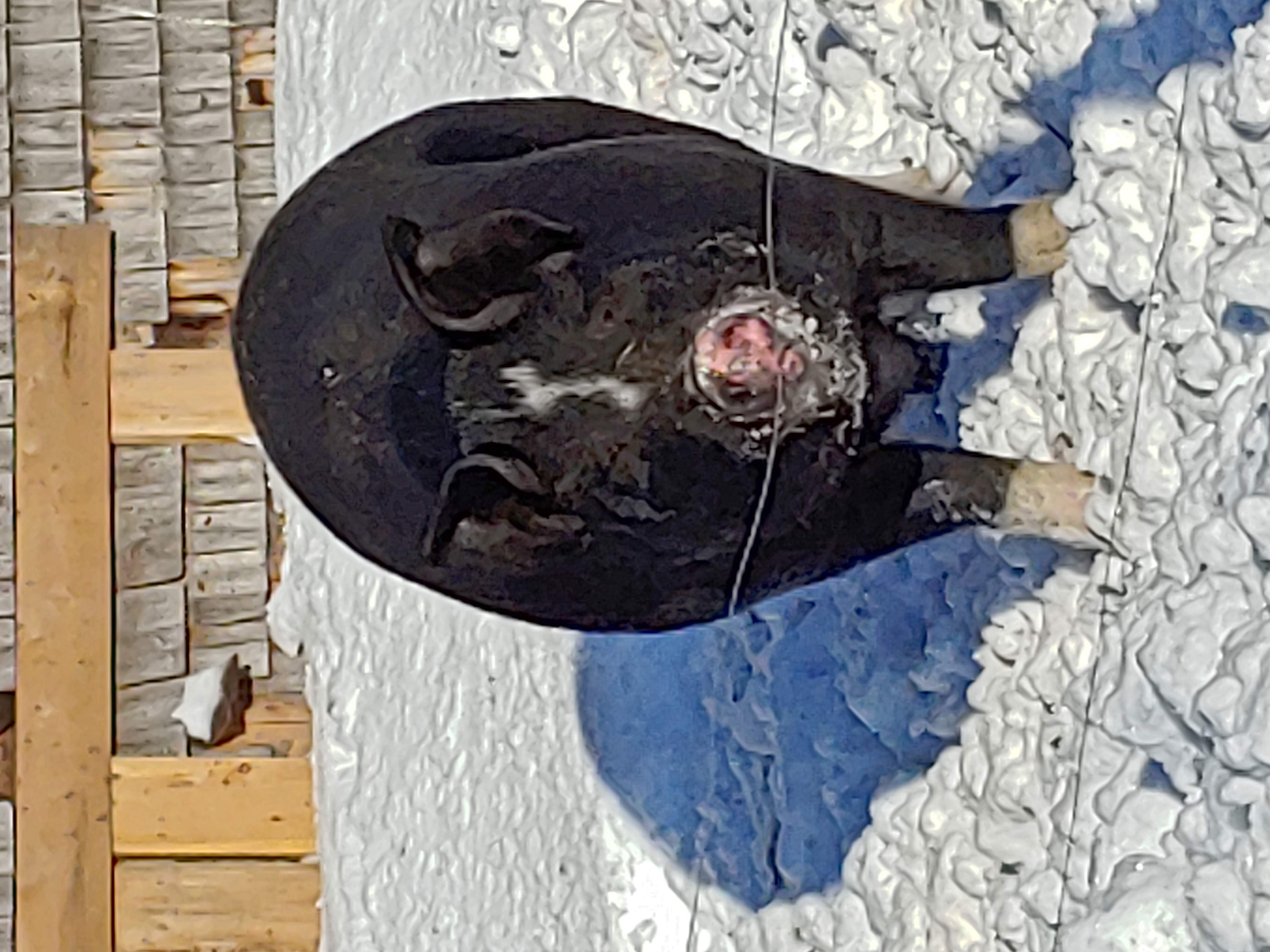 20181118_092747.jpg