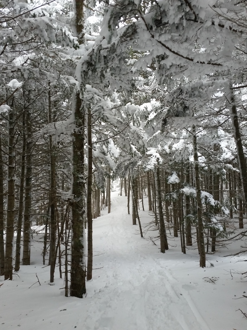 20190116_094315.jpg