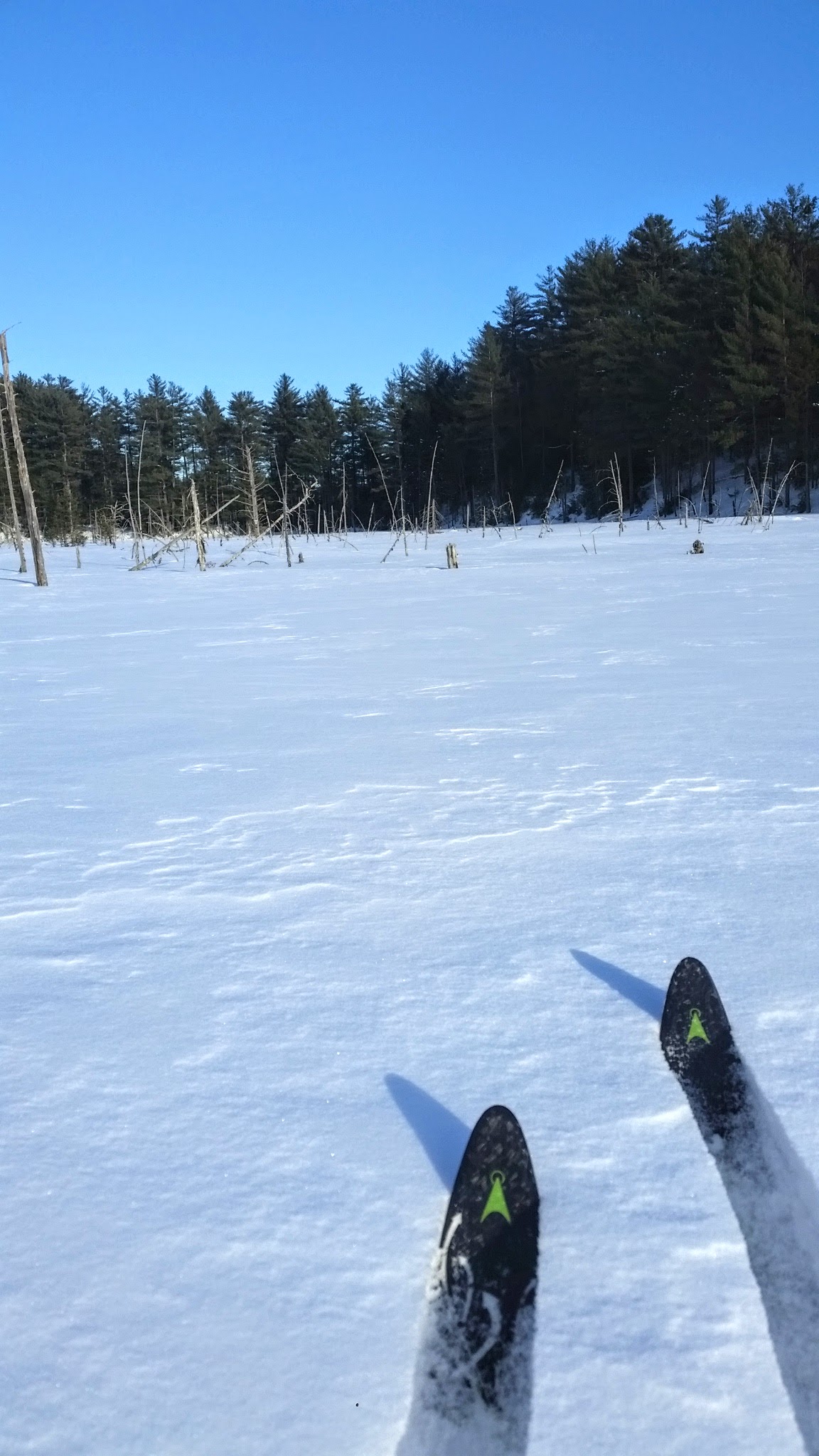20190130_151052.jpg