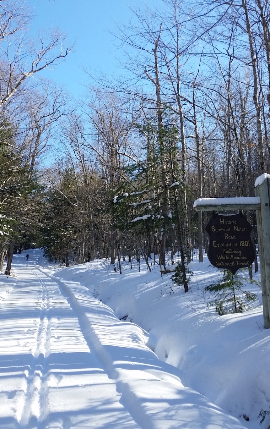 20190201_111312.jpg