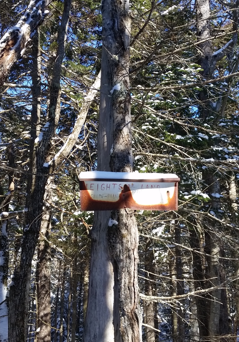 20190201_115646.jpg