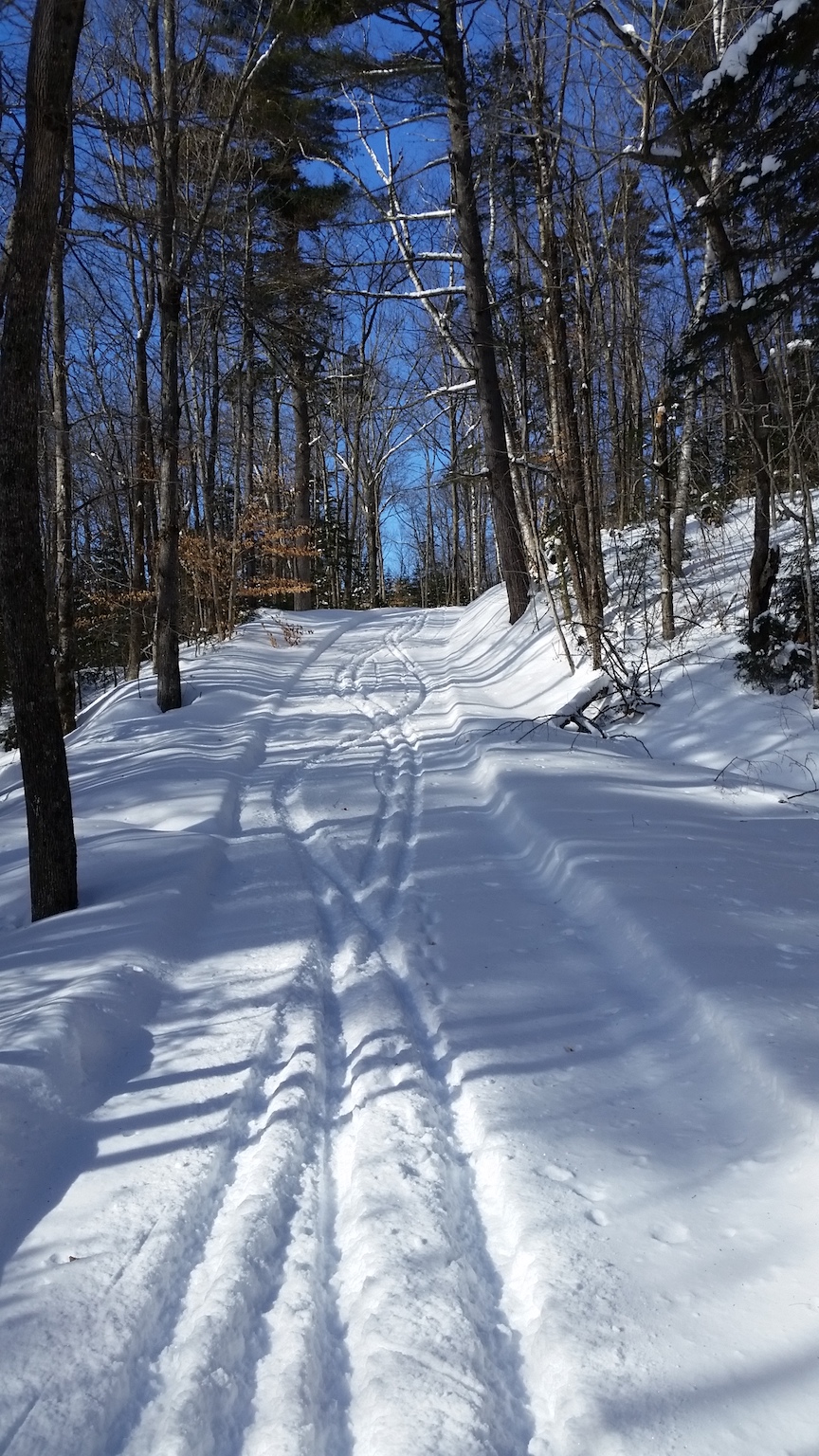20190201_125940.jpg