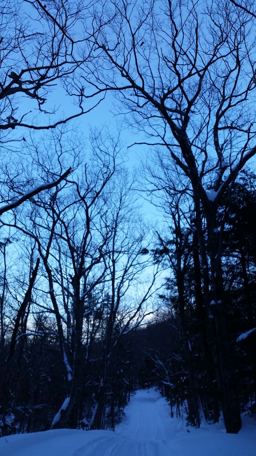 20190201_150144.jpg