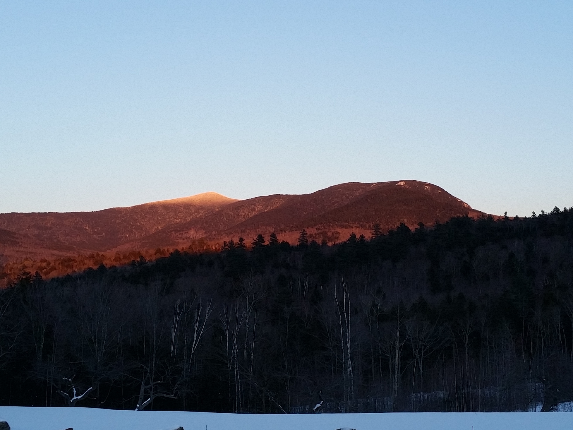 20190201_164808.jpg