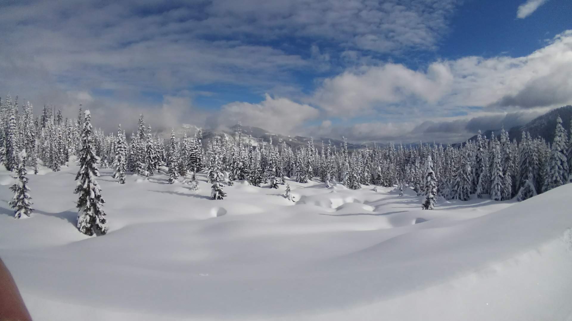 happyplace.JPG