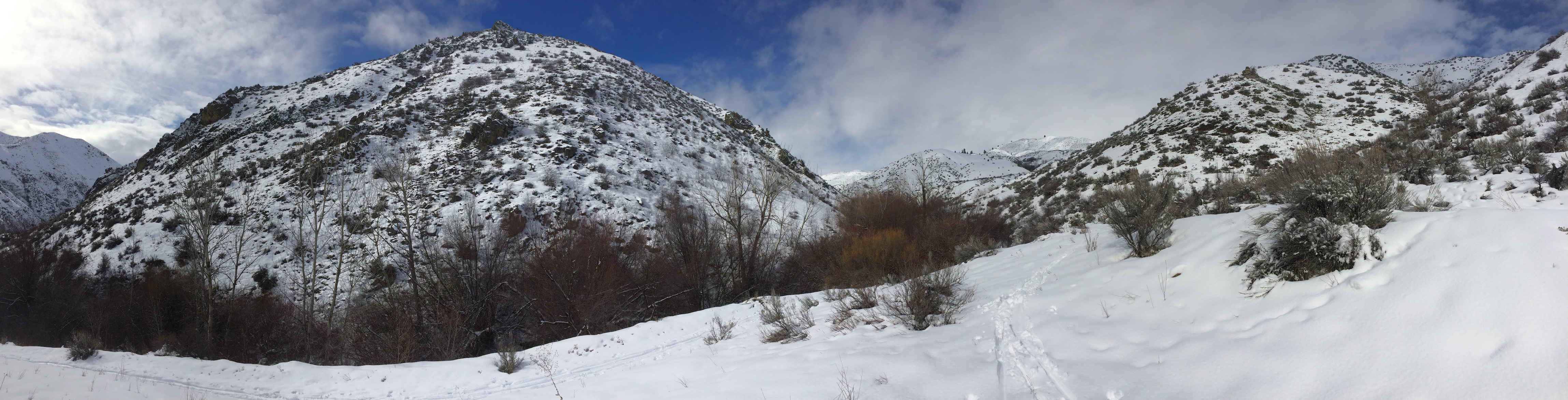 IMG_1586 copy.jpg