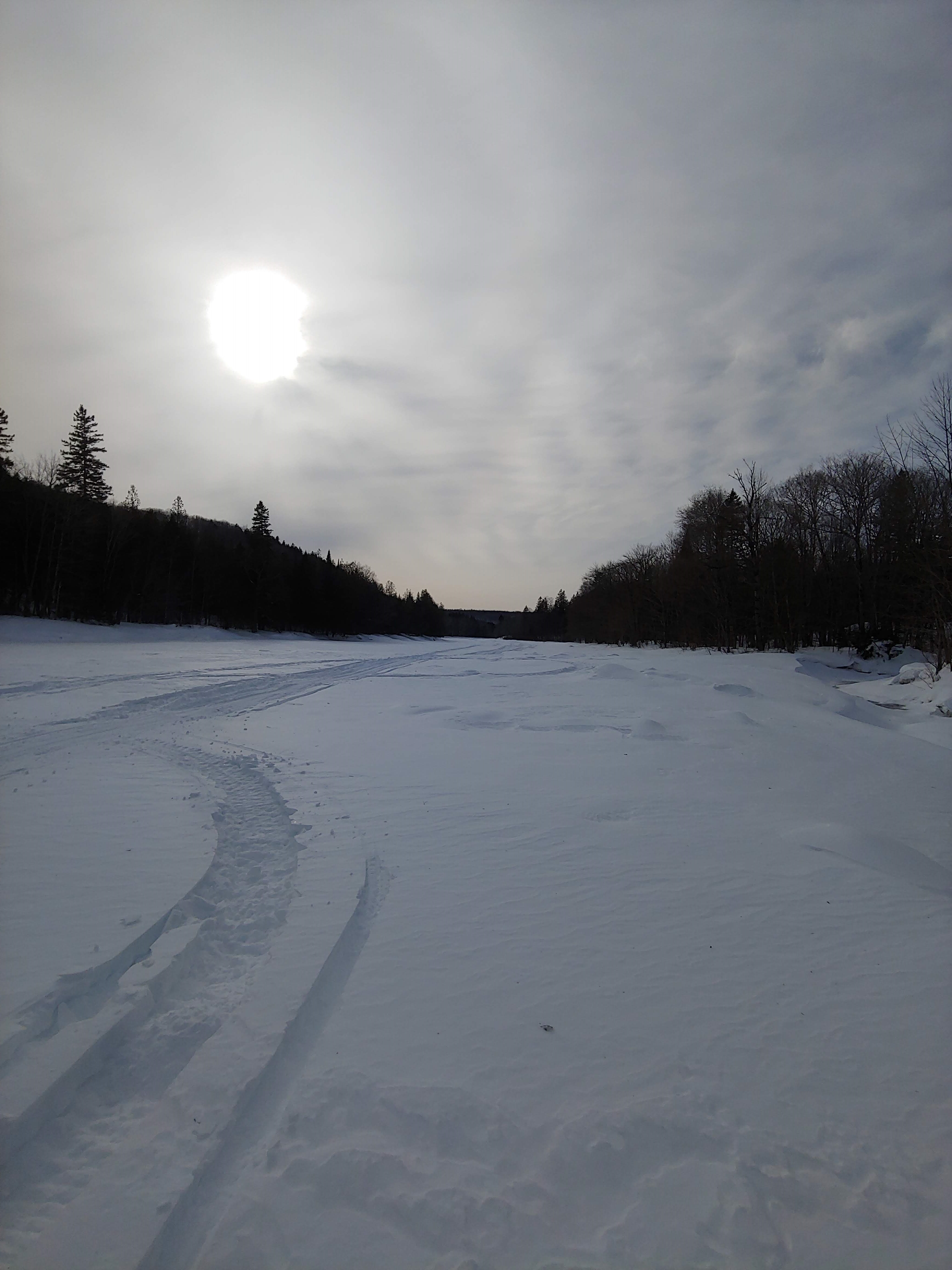 20190302_153344.jpg