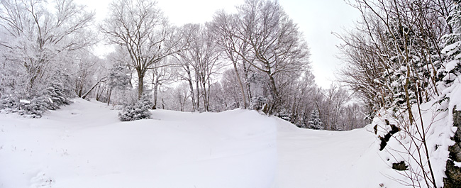 DSC_68102.jpg