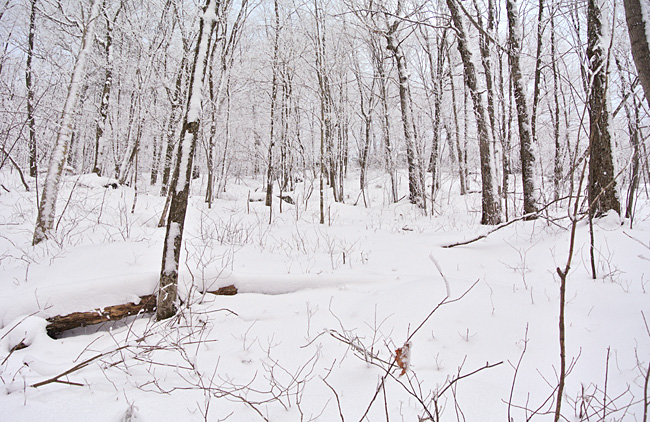 DSC_67882.jpg