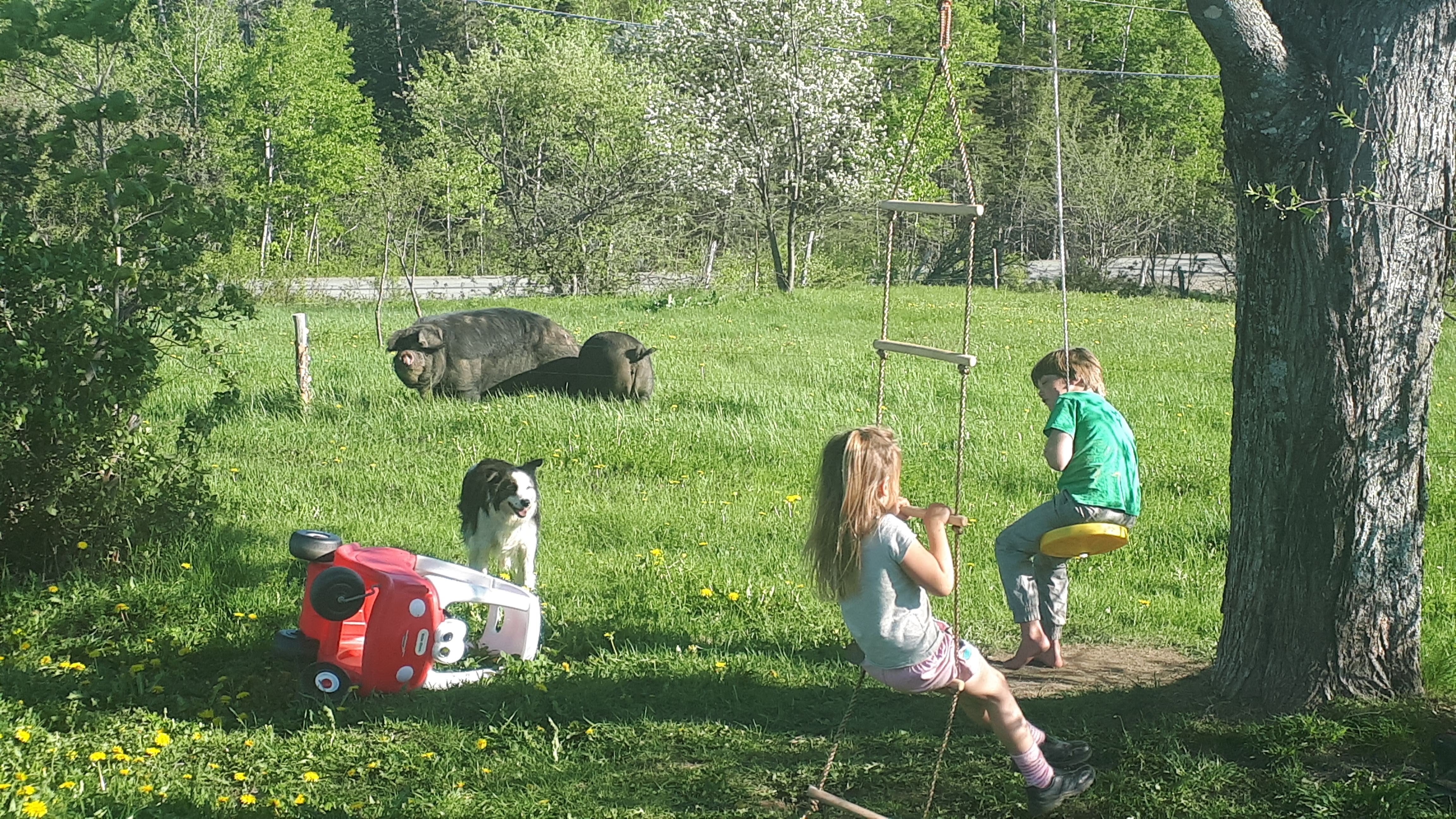 20190606_183008.jpg