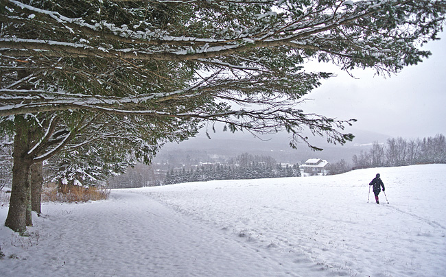 DSC_70942.jpg