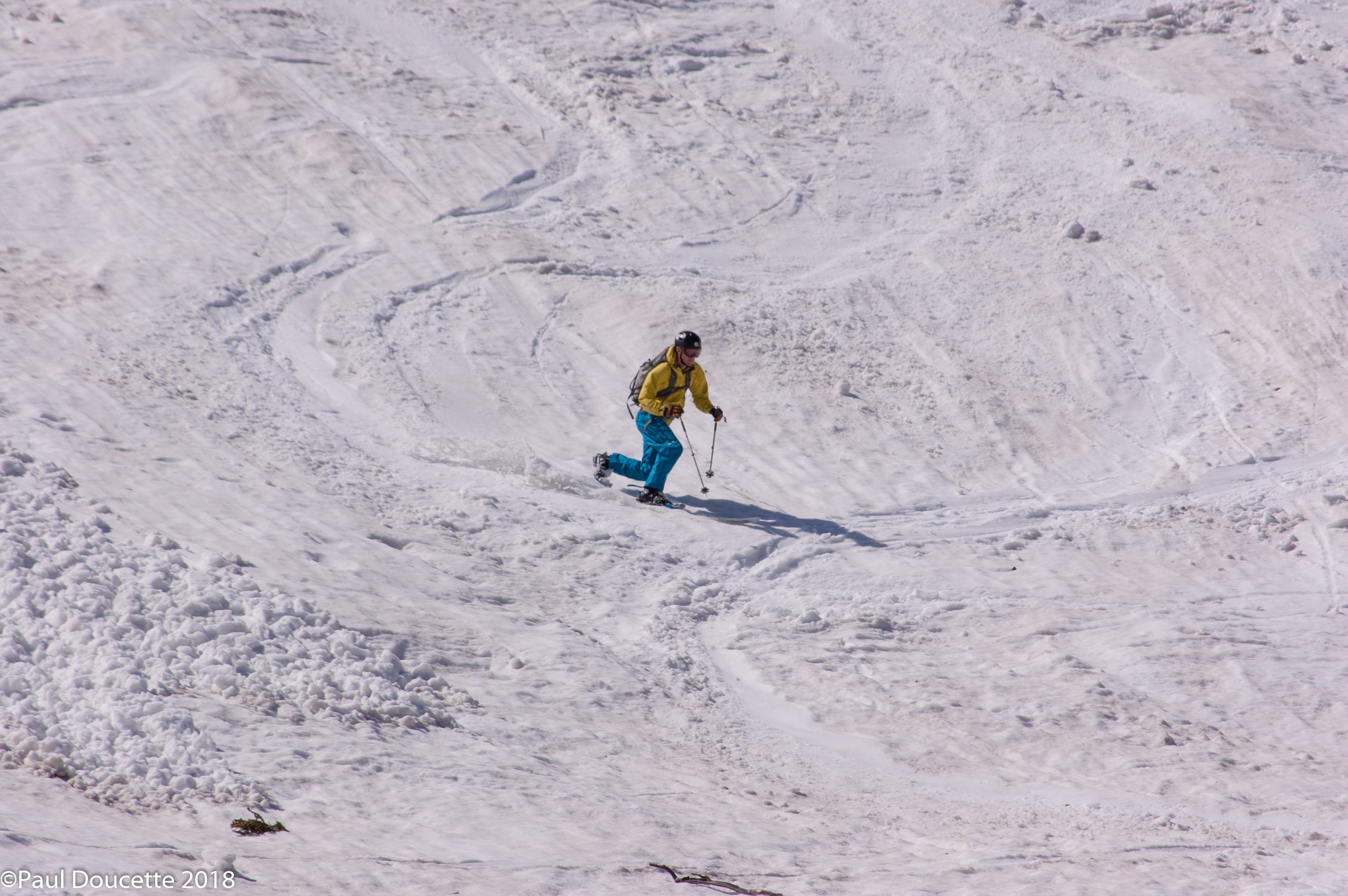 DSC_3009.jpg