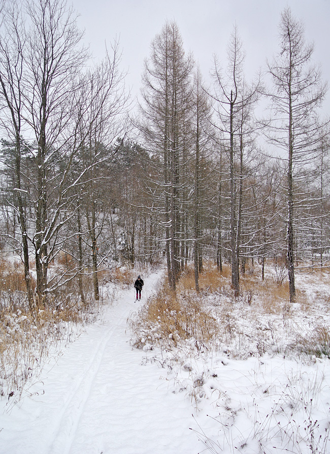 DSC_70622.jpg