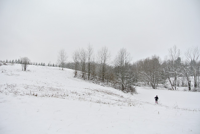 DSC_71082.jpg