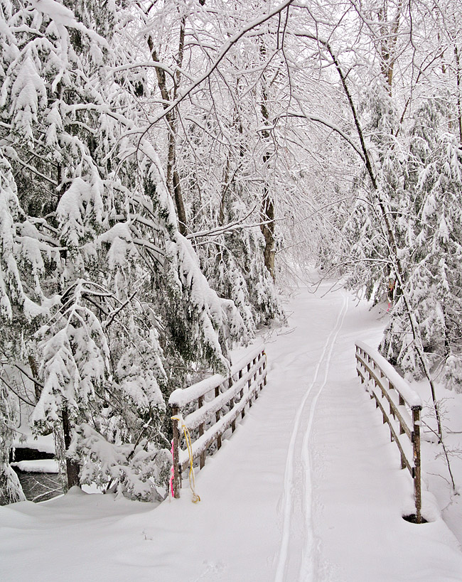 DSC_72272.jpg