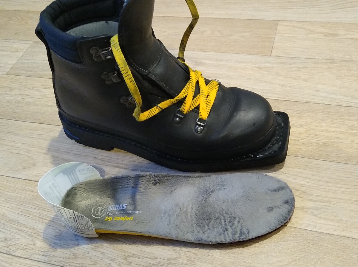 alico ski