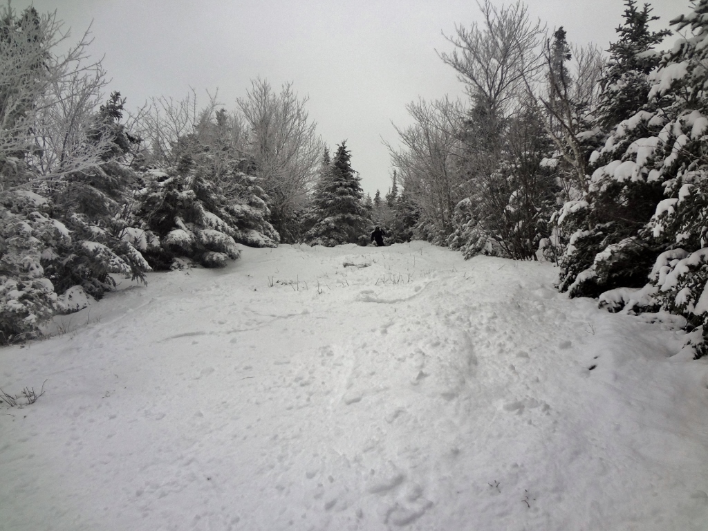 DSC04970 (1024x768).jpg