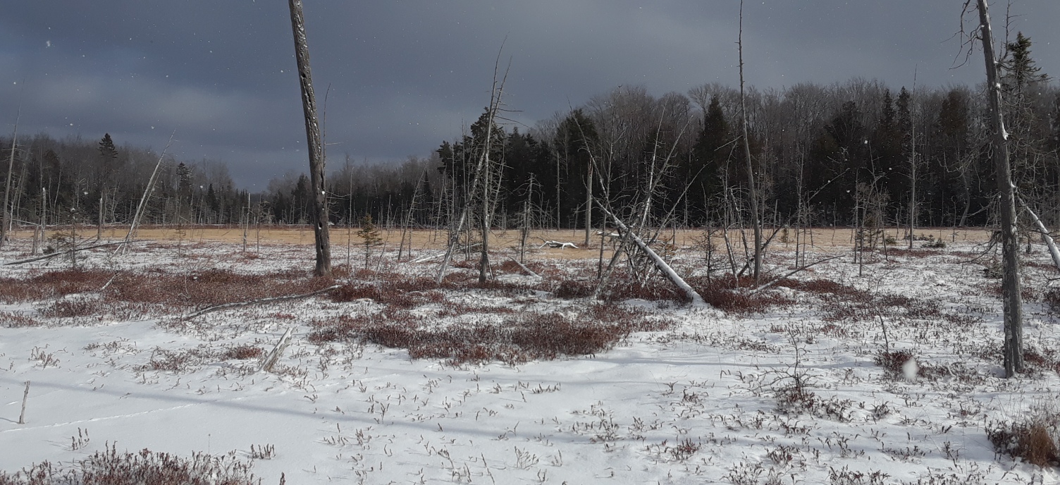 20201214_122120.jpg