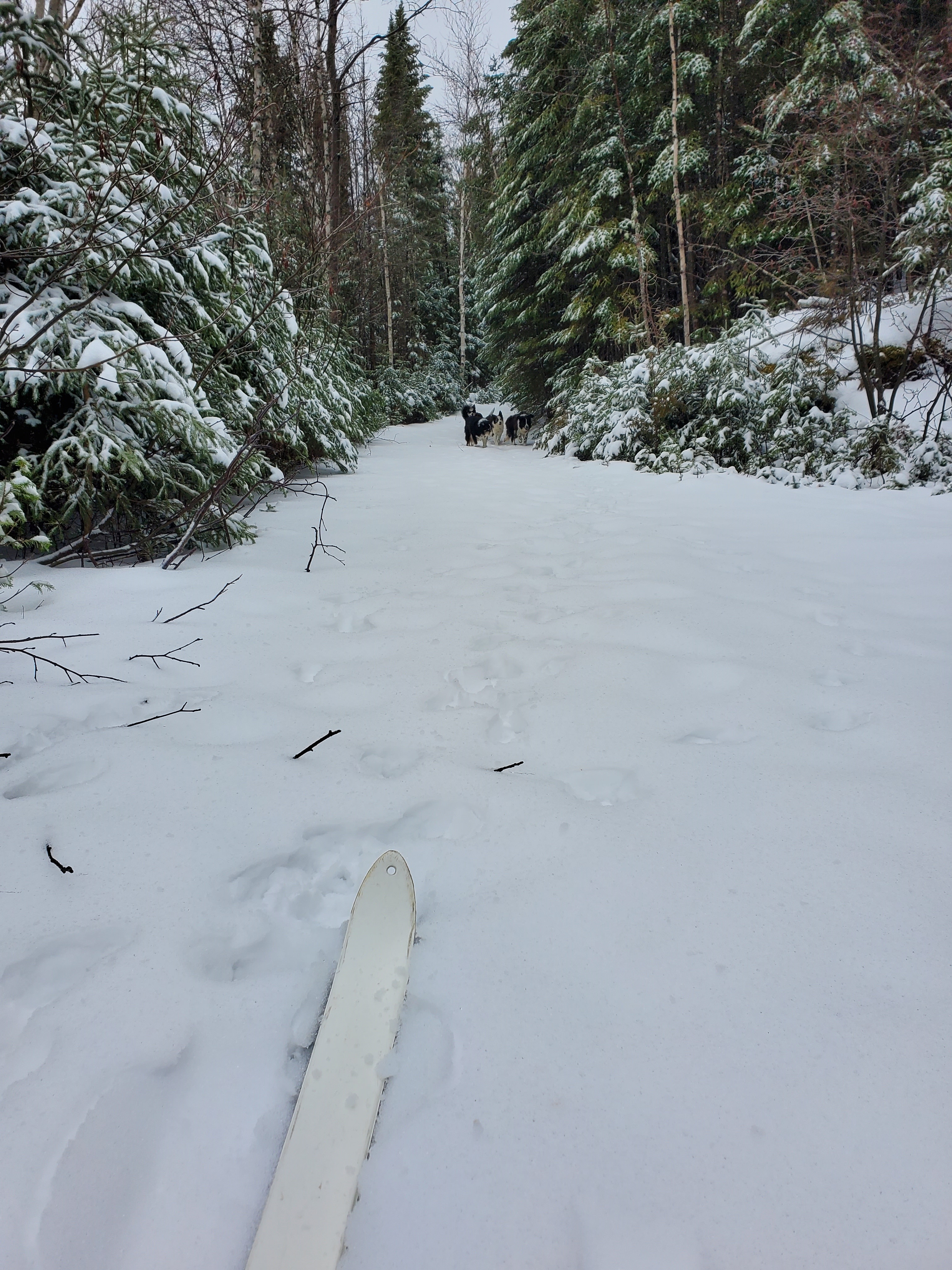 20201213_112937.jpg