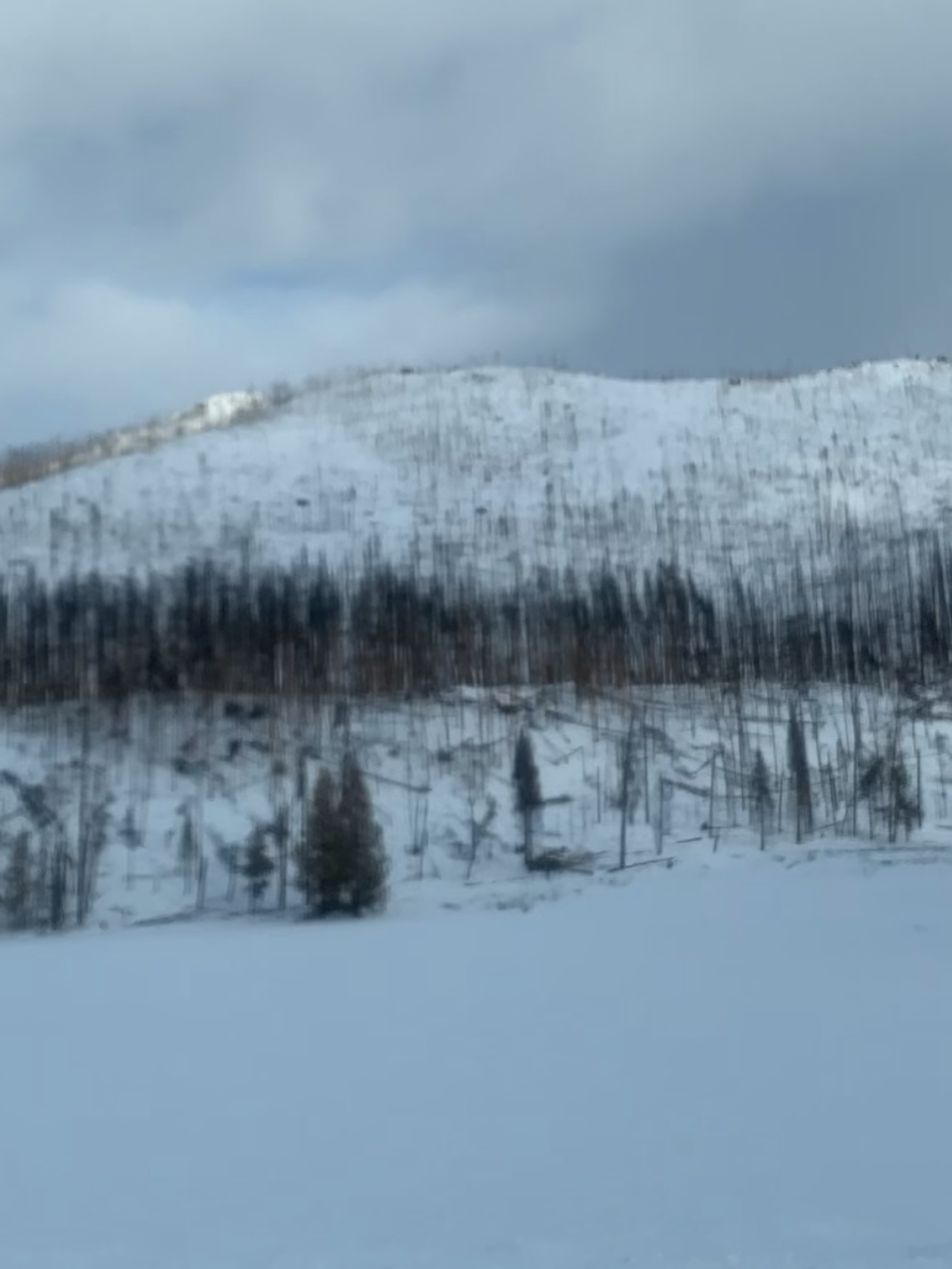 C773B46A-8A03-4C4F-BC26-5092B8AACF0C.png