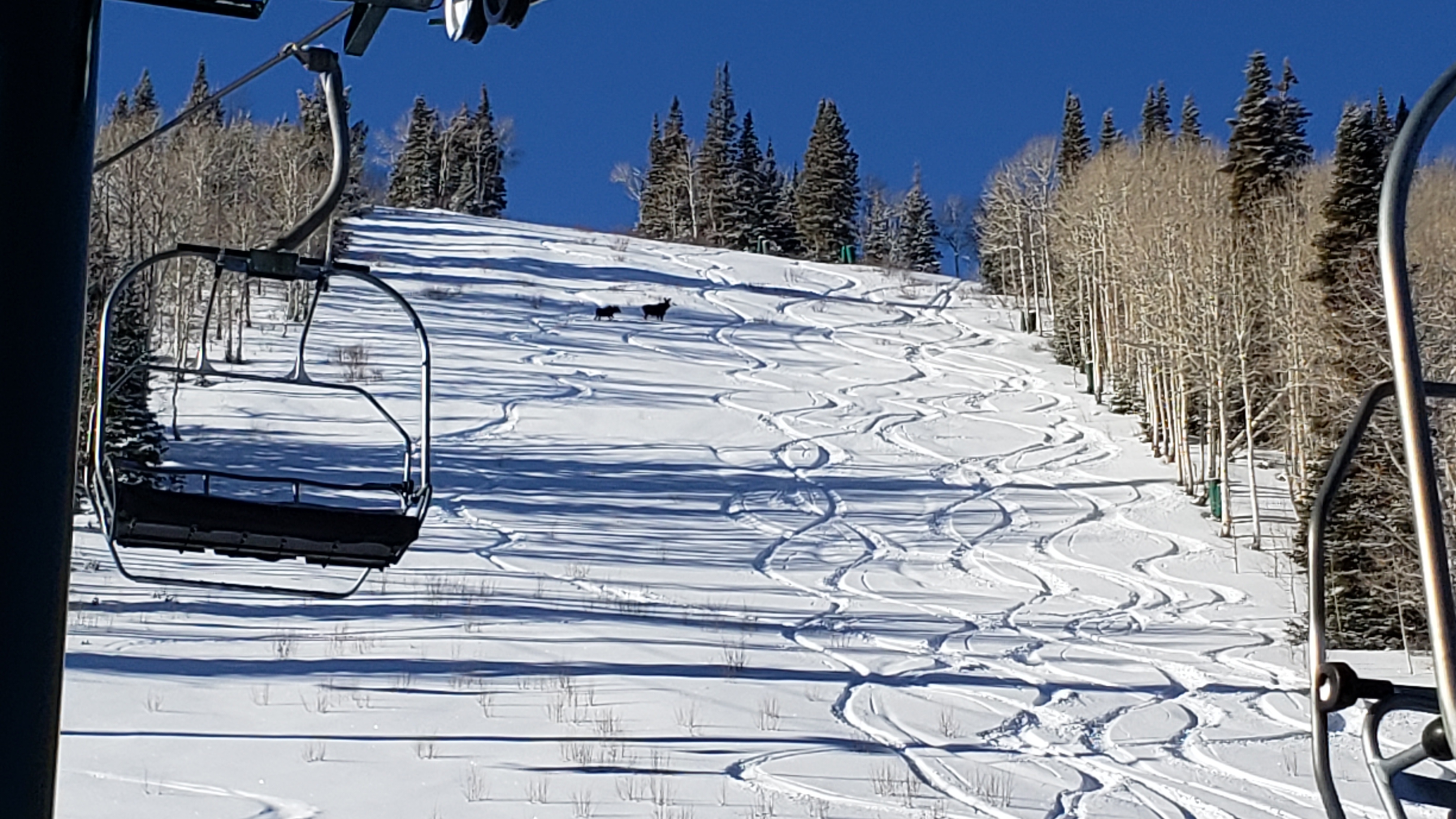 20201218_100550.jpg