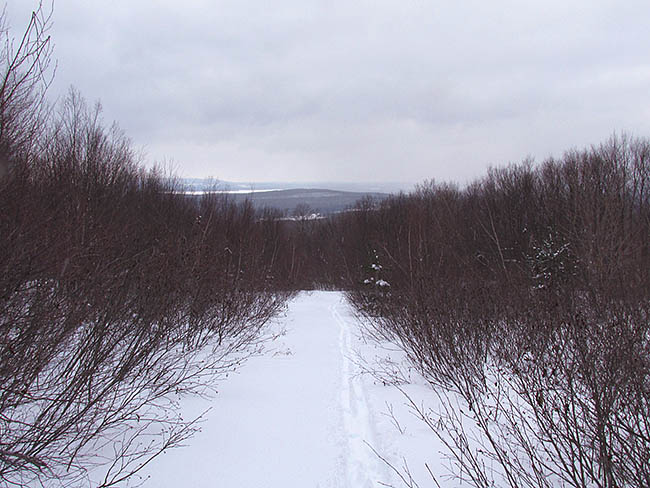 IMG_0367.JPG