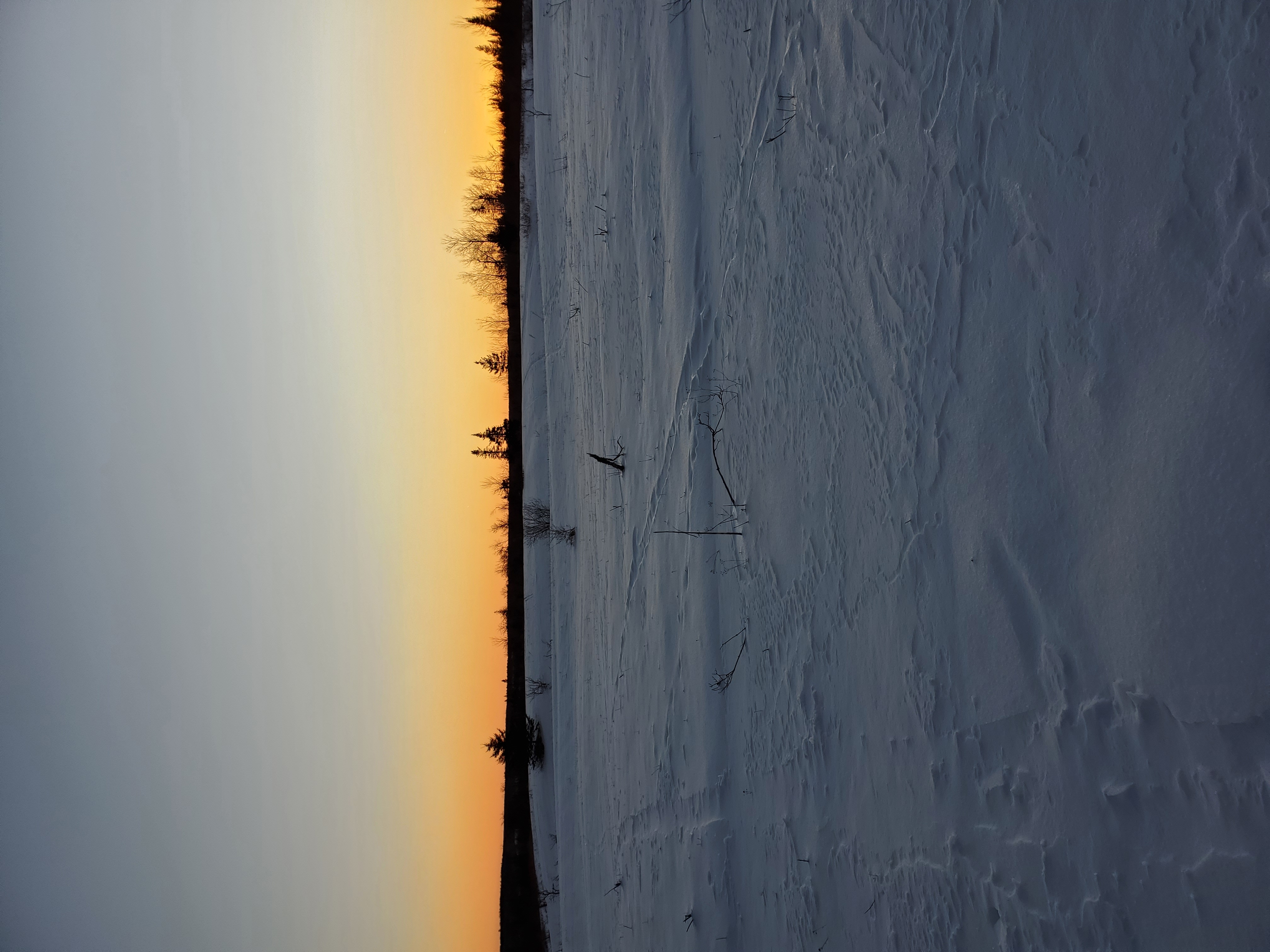 20210110_170544.jpg