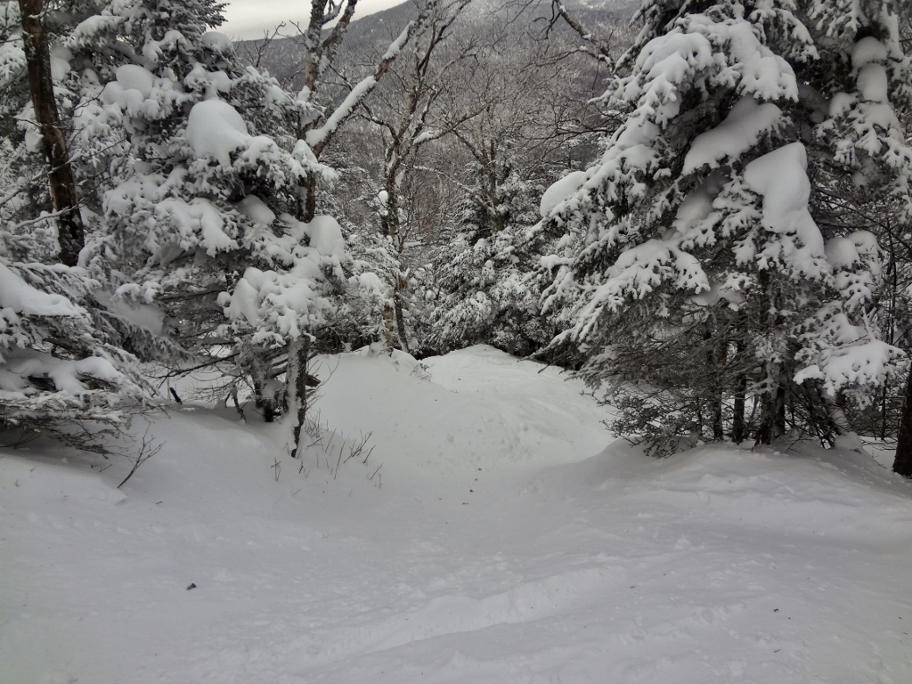 DSC05301 (1024x768).jpg