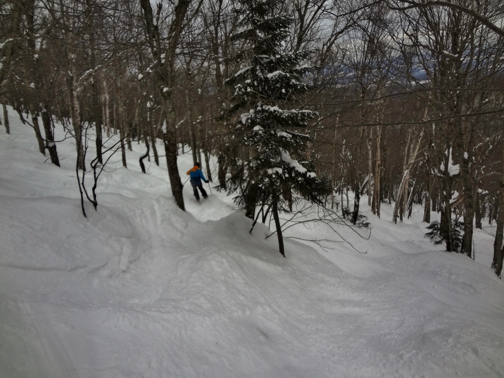 DSC05324 (1024x768).jpg