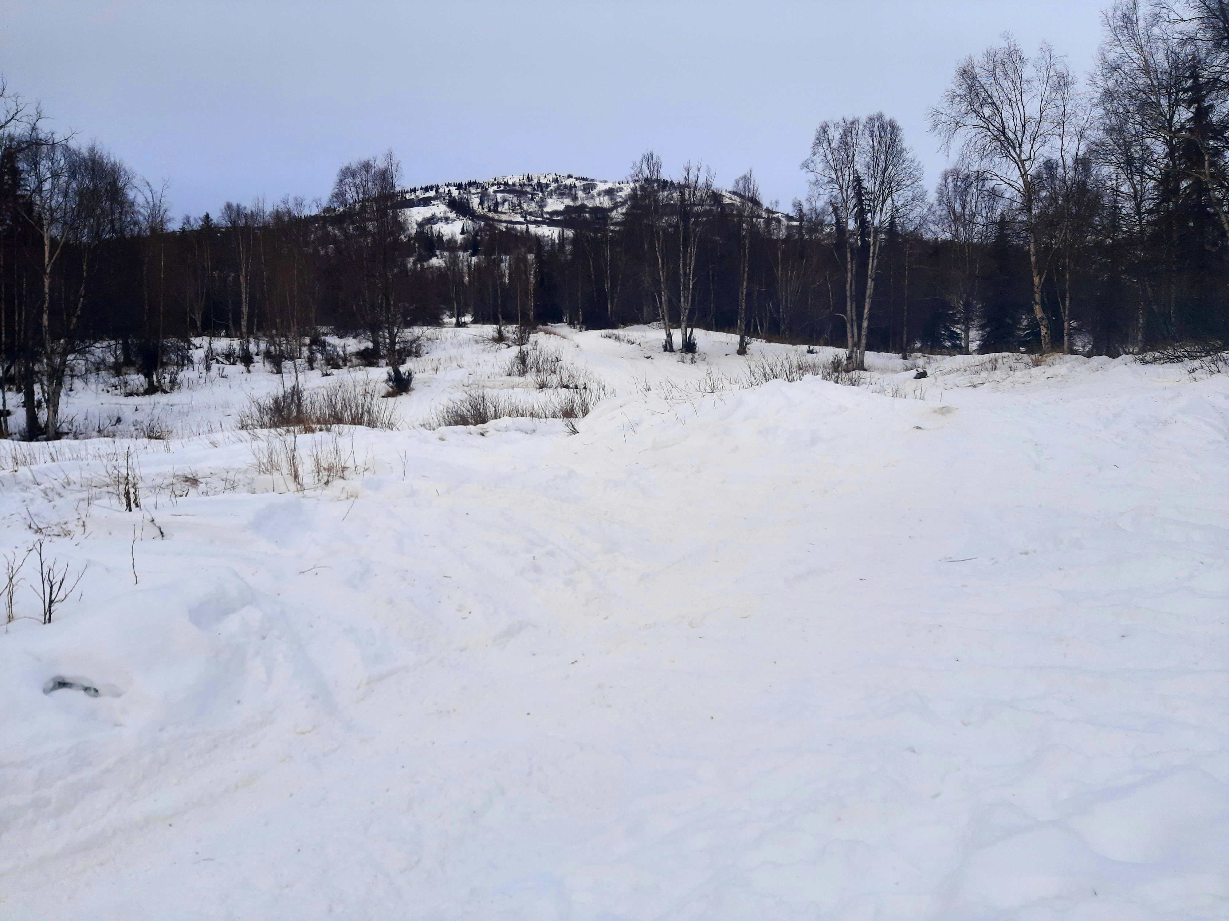 20210116_174816.jpg