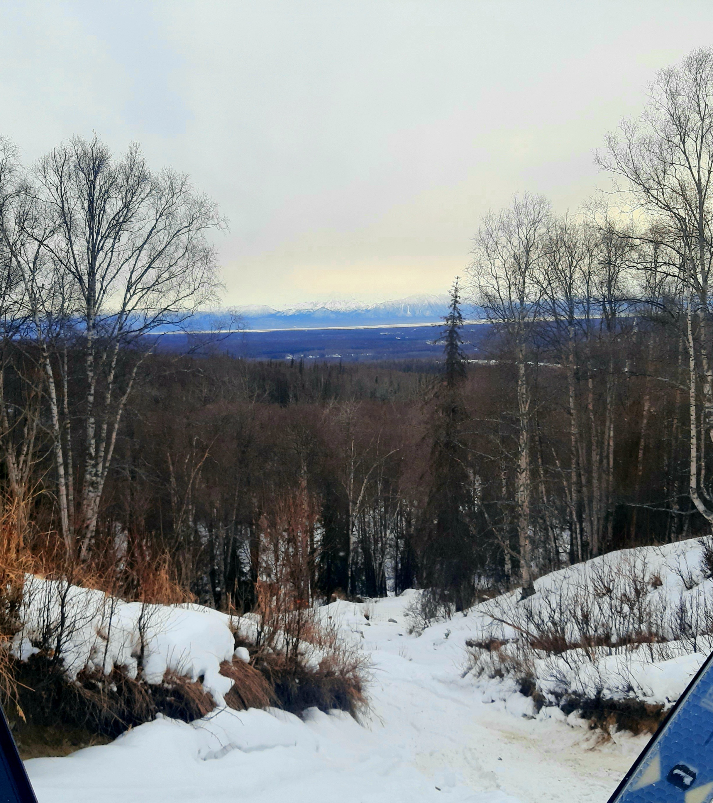 20210116_174043.jpg