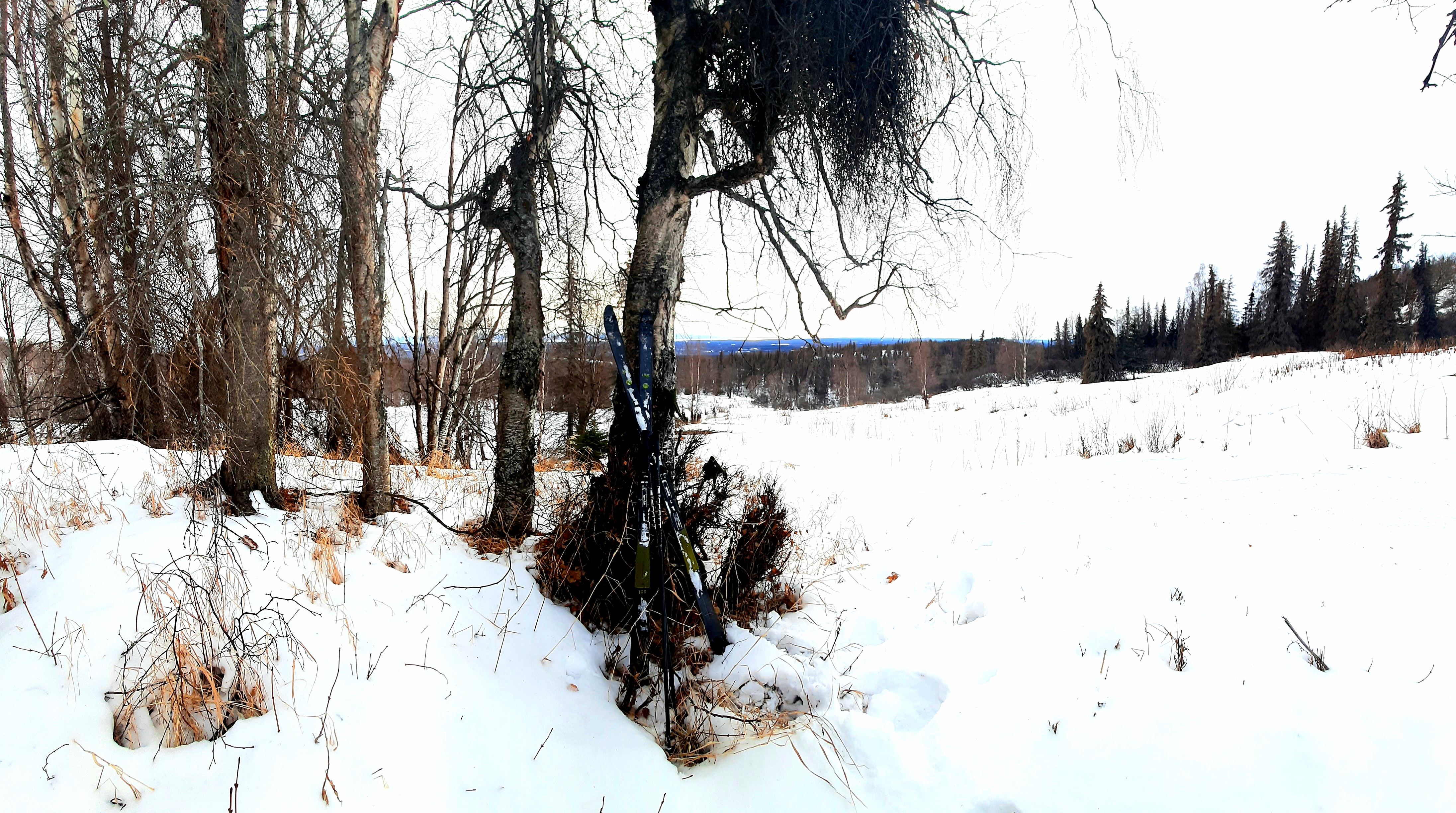 20210116_173922.jpg