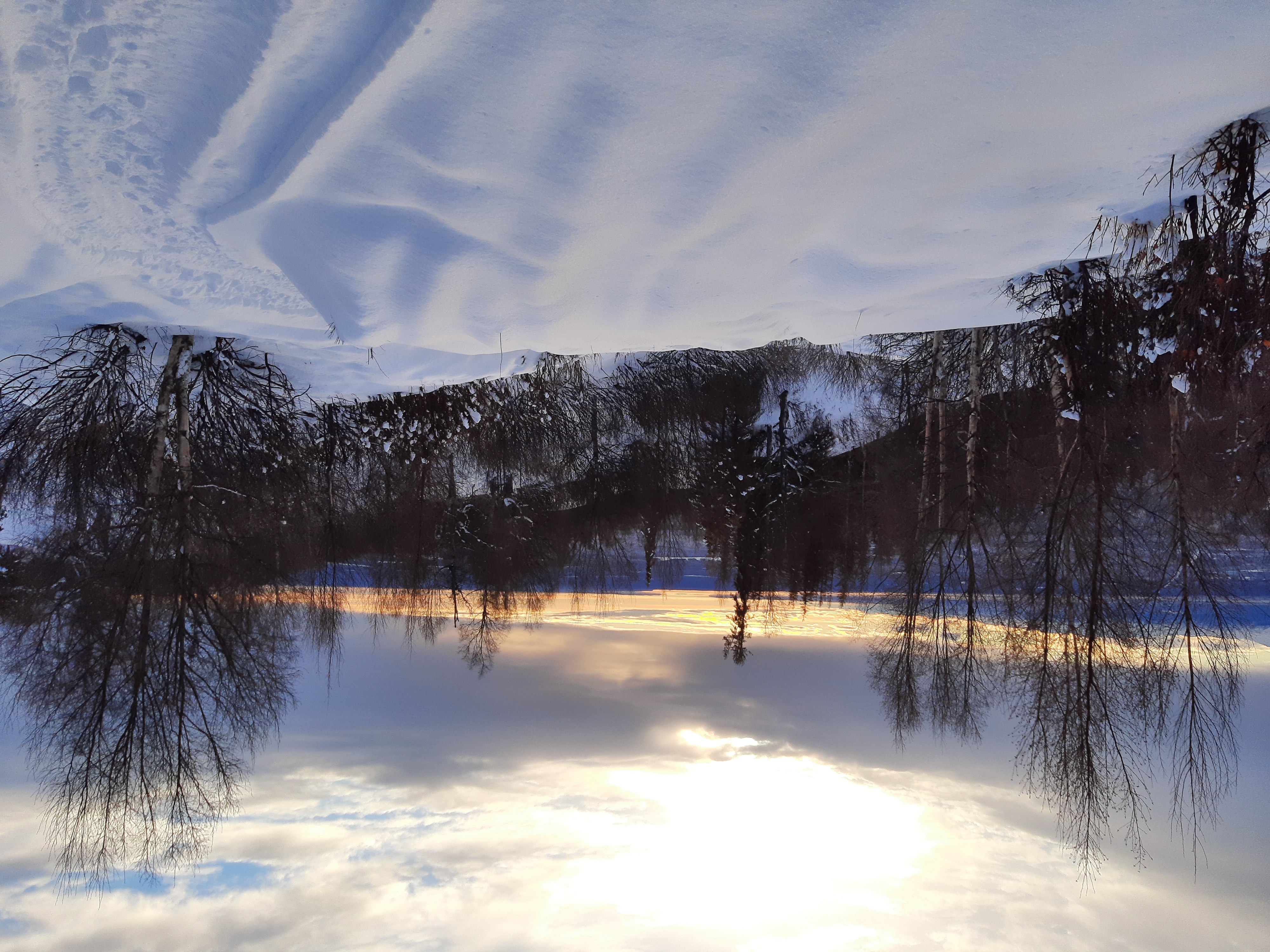 20210120_143215.jpg