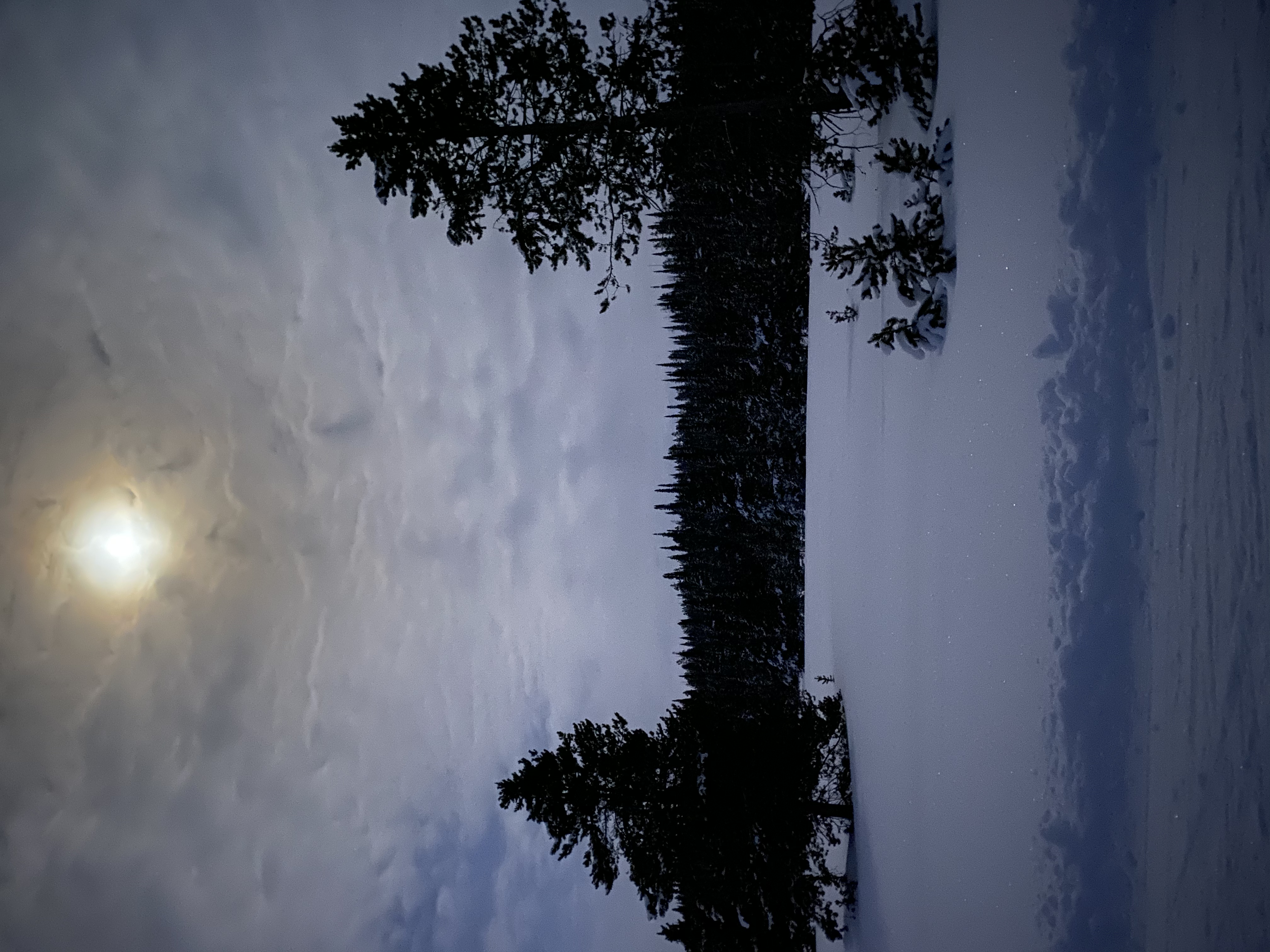 80F95426-991C-463E-98F9-8ED239EB0A2D.jpeg
