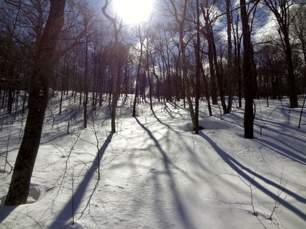 DSC05714 (1024x768).jpg