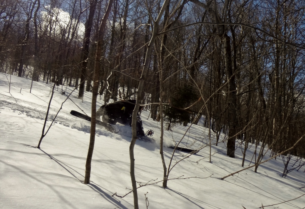 DSC05750 (1024x703).jpg
