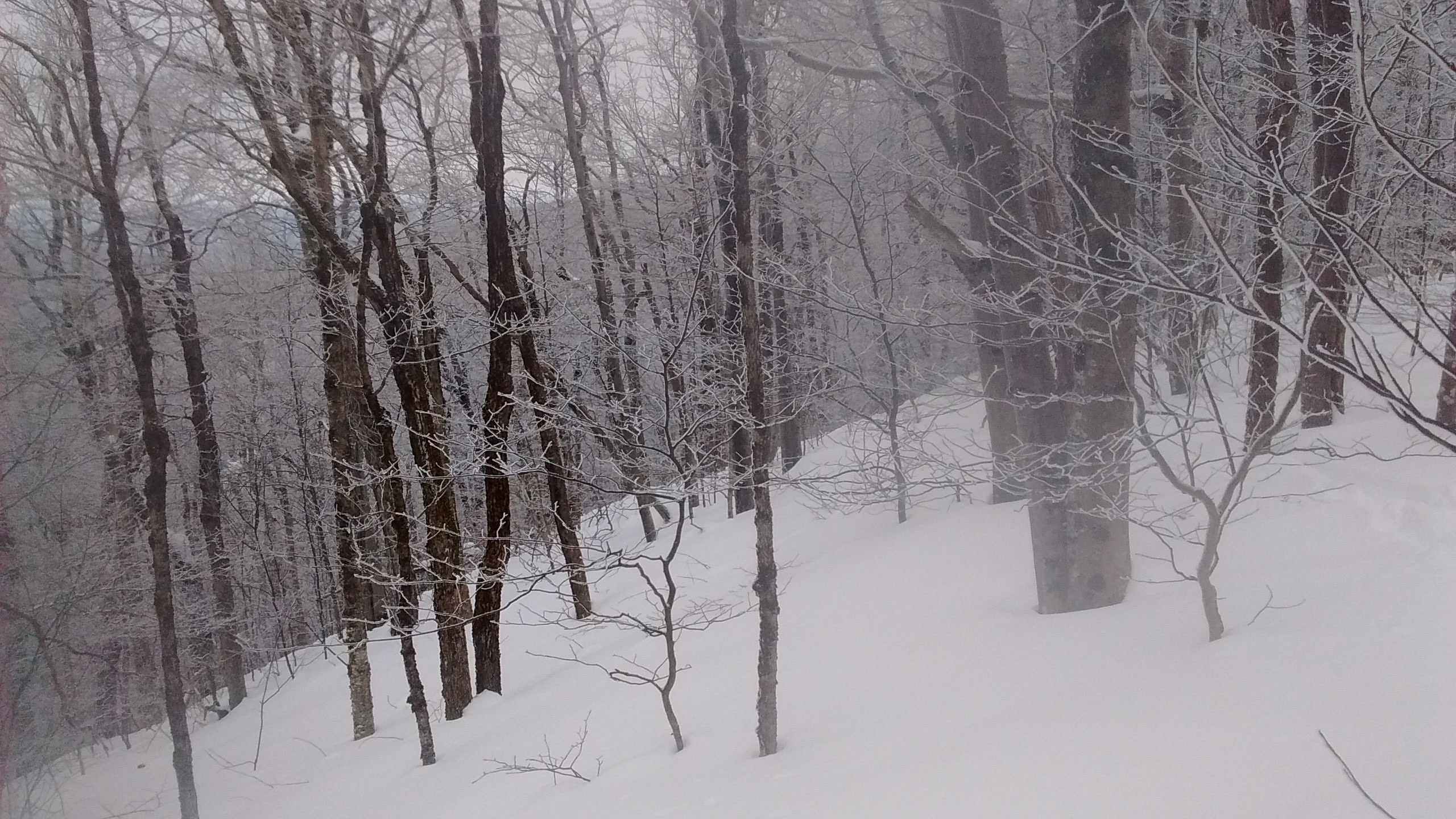 IMG_20210214_141117920.jpg