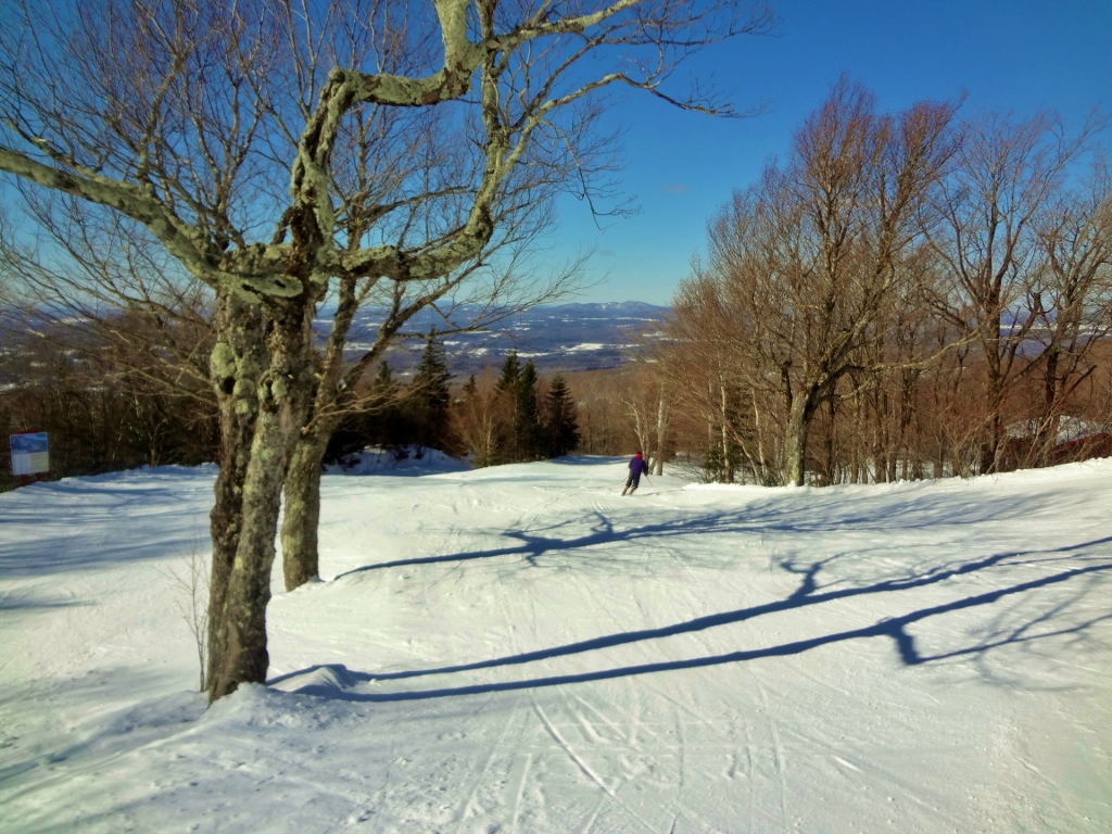 DSC05964 (1024x768).jpg