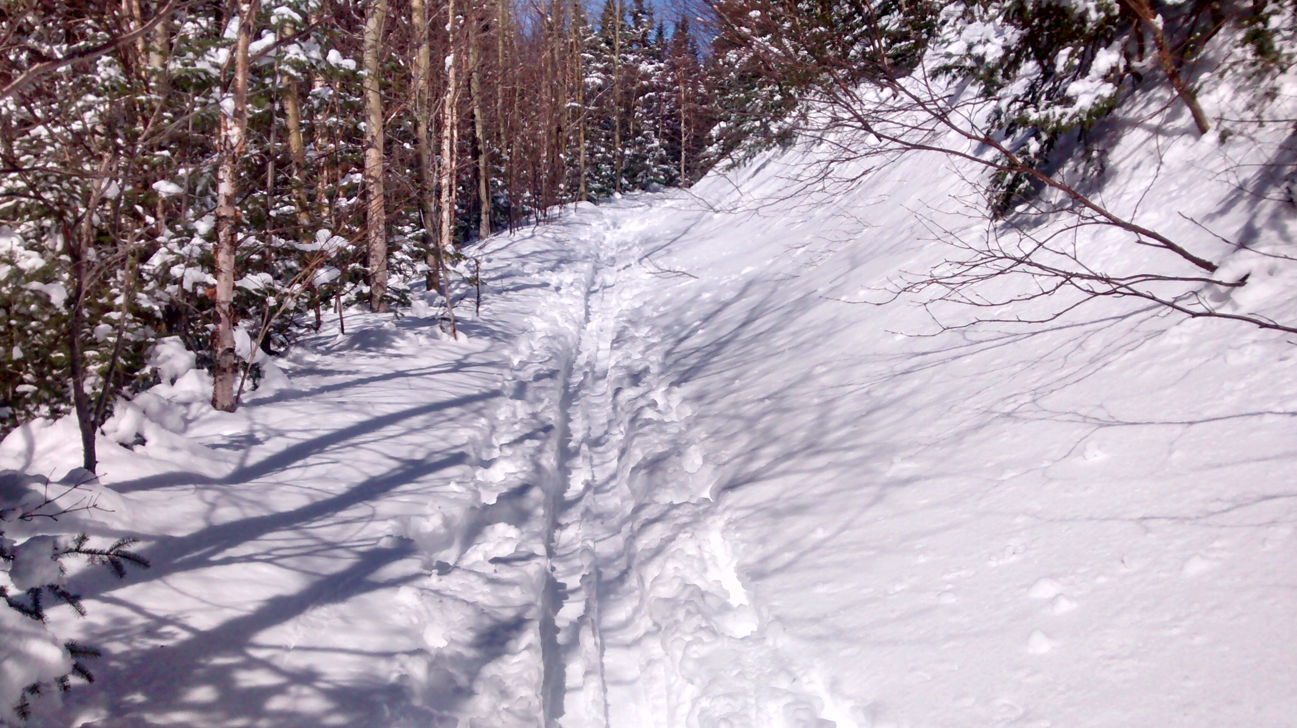 IMG_20150320_122845281_HDR.jpg