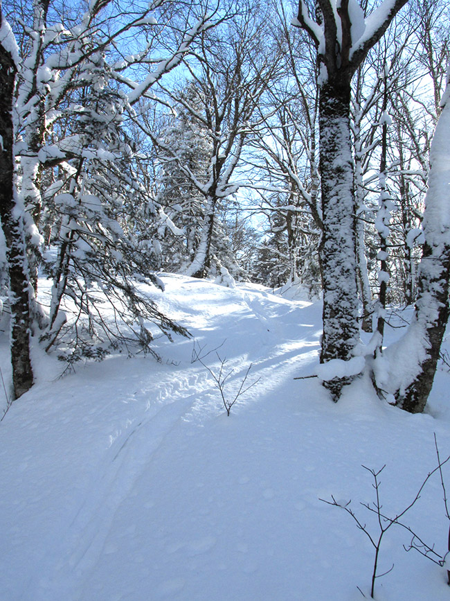IMG_0487.JPG