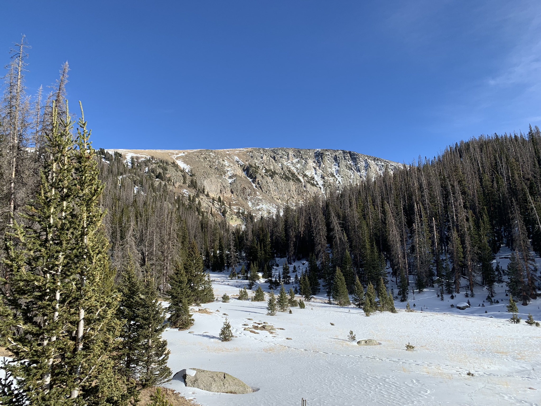 15DF982F-73DC-4A5A-913B-F47B30735920.jpeg