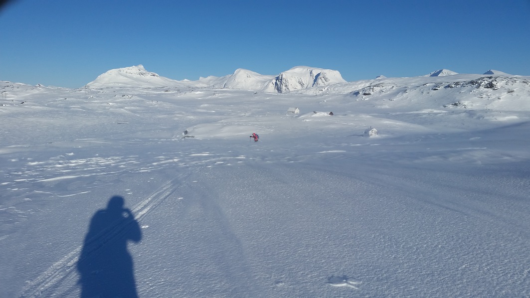 20190303_105833[1].jpg