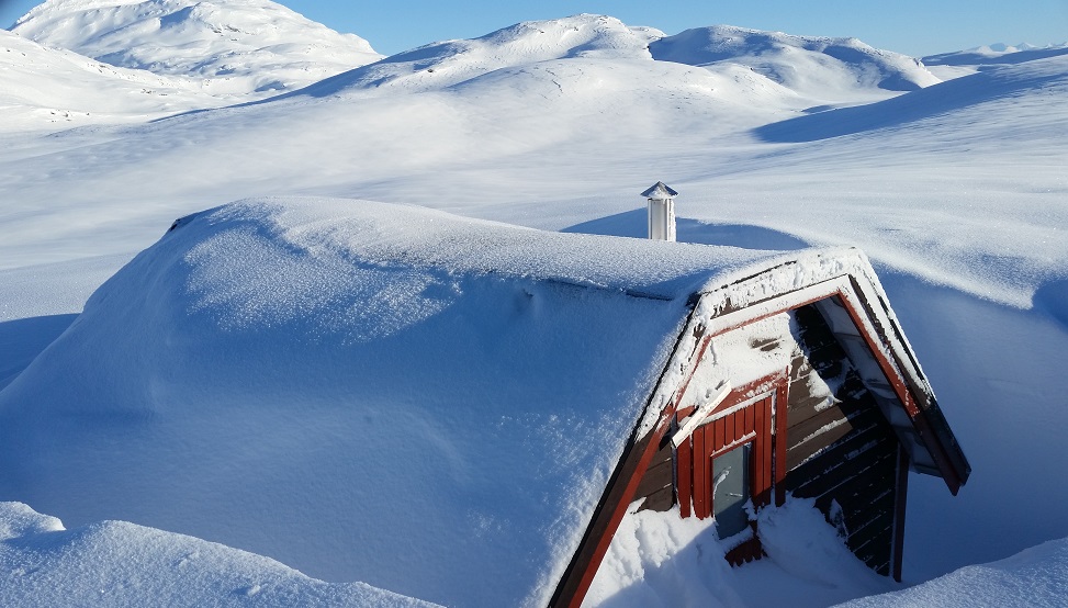 20190303_142217[1].jpg