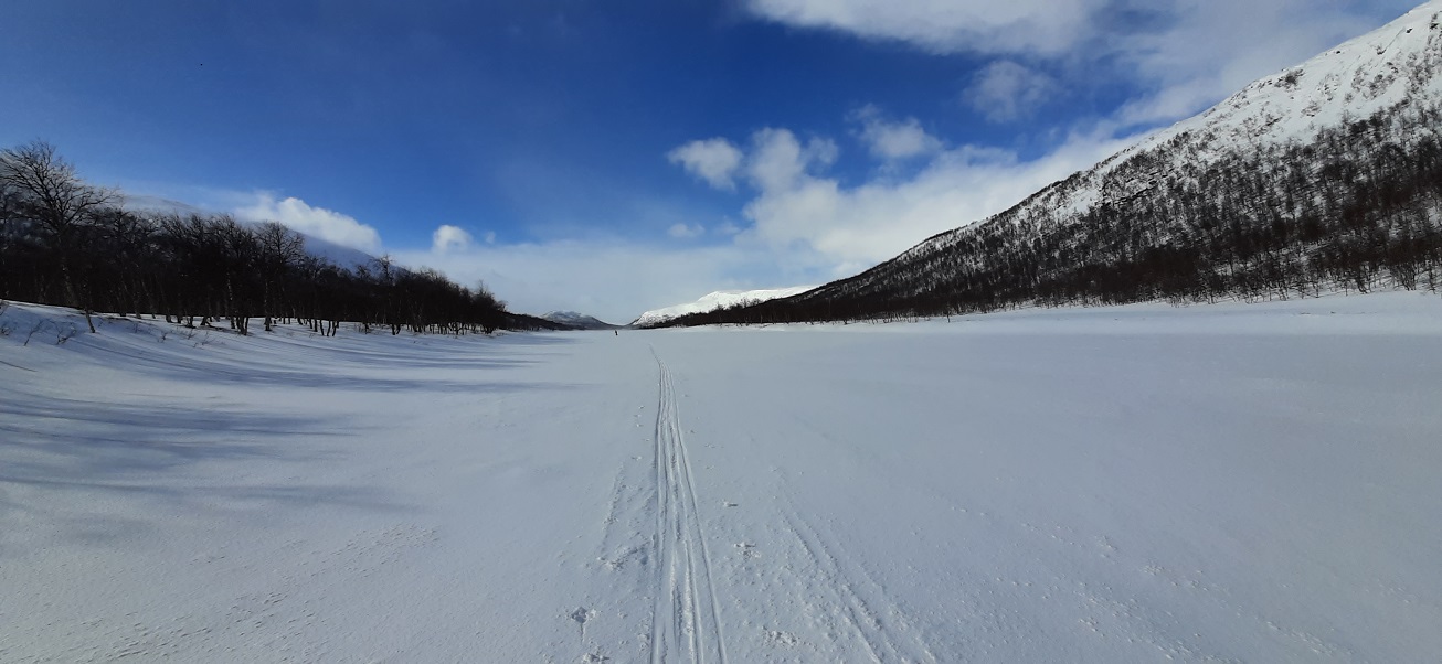 20210324_123052[1].jpg