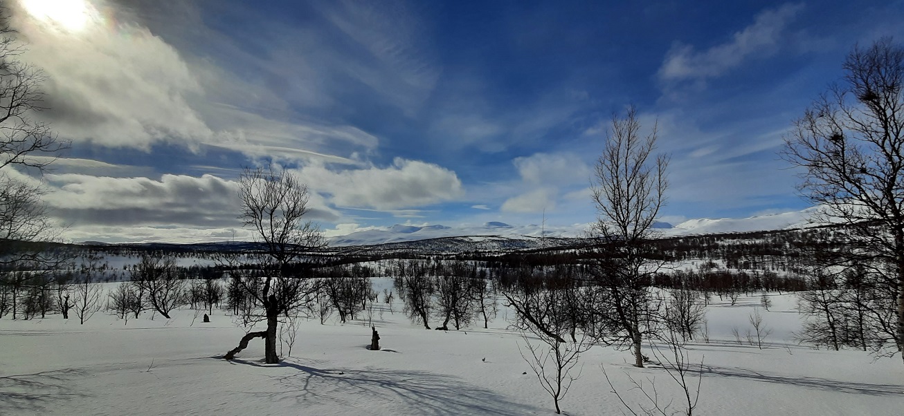20210328_130058[1].jpg