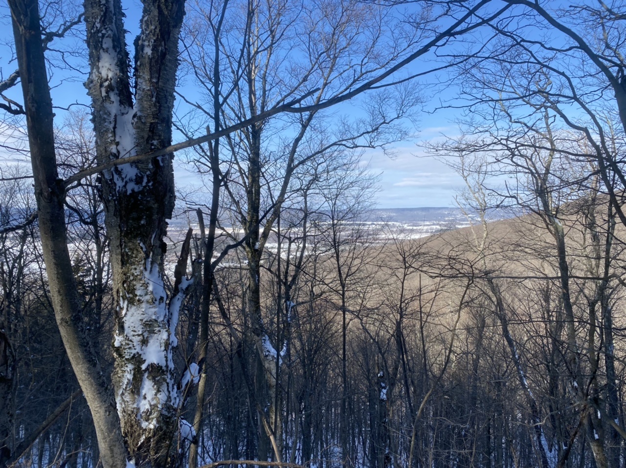 023026E8-F5CA-4ADC-8CF1-D7C6F40AA36F.jpeg