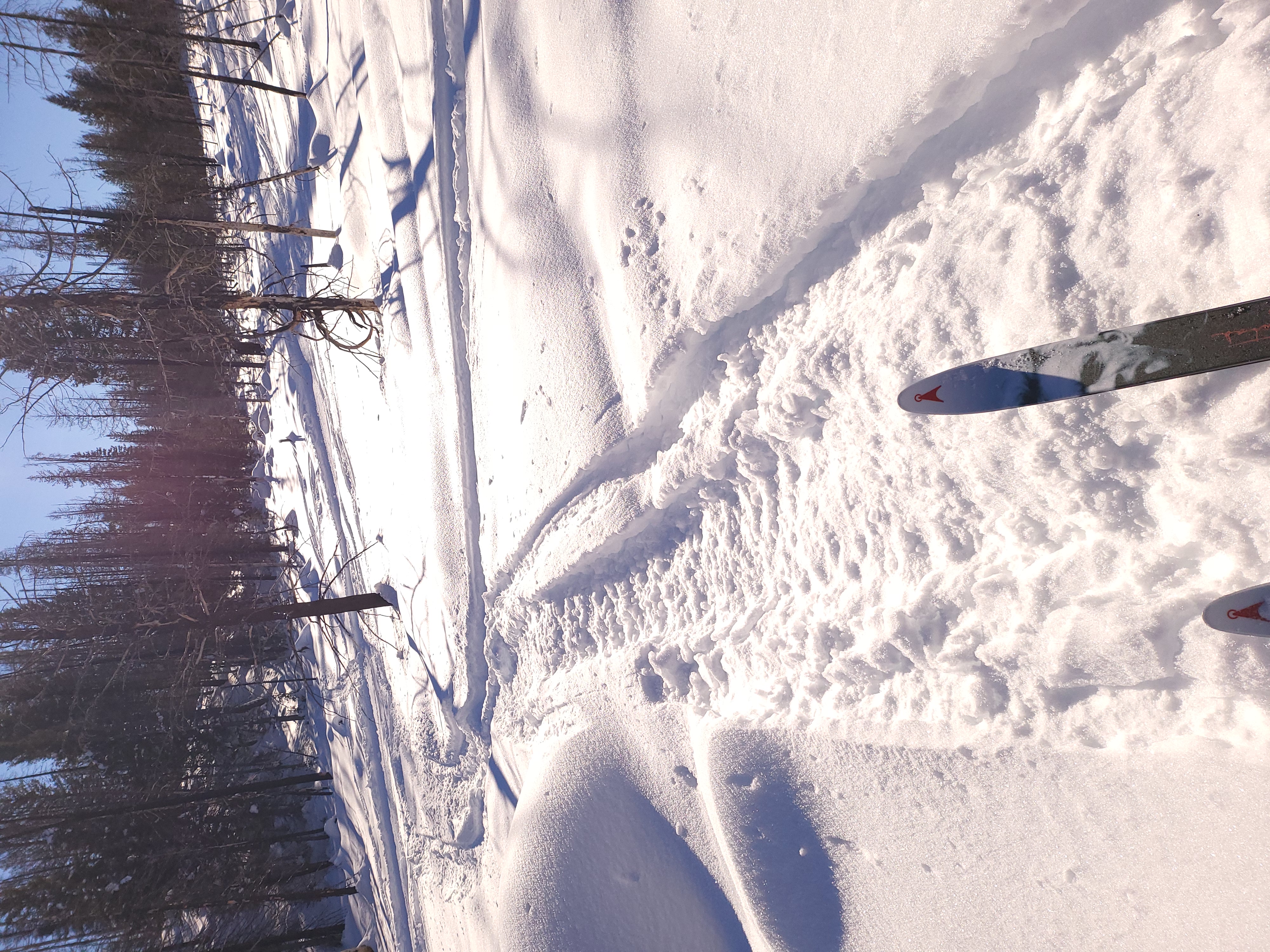 20220114_142158.jpg