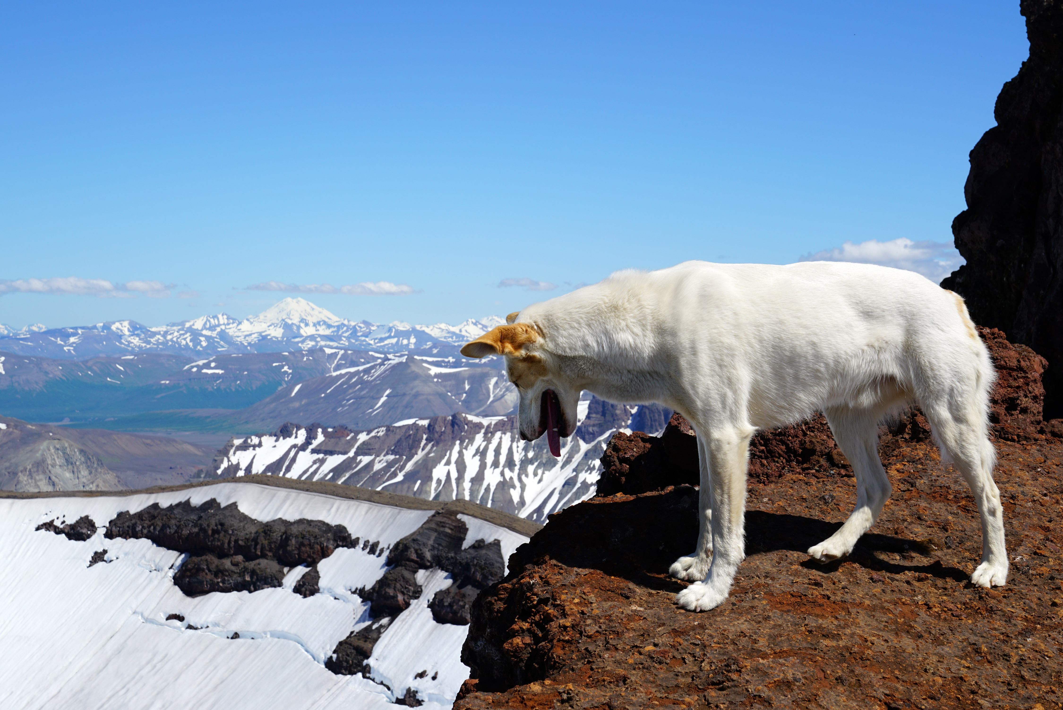 Overlook resize.jpg
